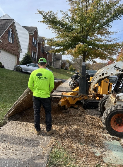 Stump Grinding