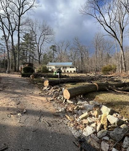 Responsible Tree Removal in the Waynesboro Area