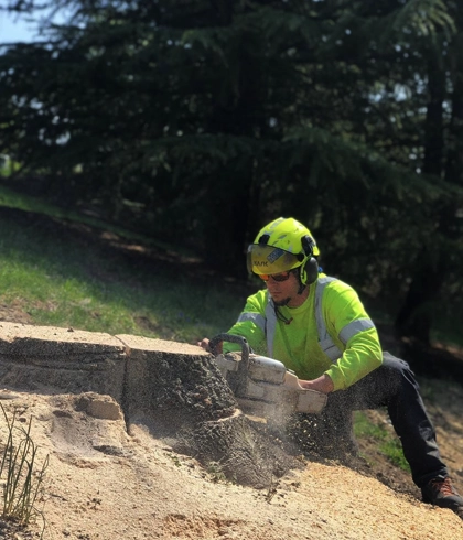 Precision Tree Removal