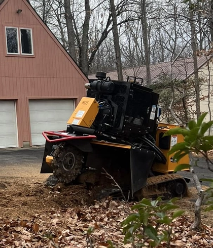 Professional Stump Grinding in Frederick, MD