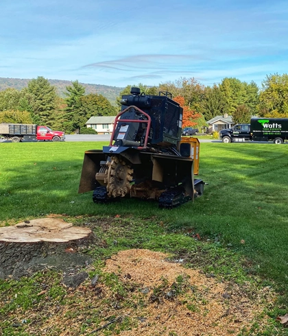Stump Grinding Services in Hagerstown, MD
