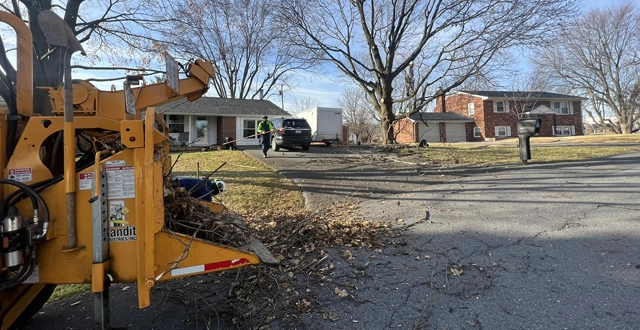Expert Tree Care for Gettysburg’s Historic Landscape